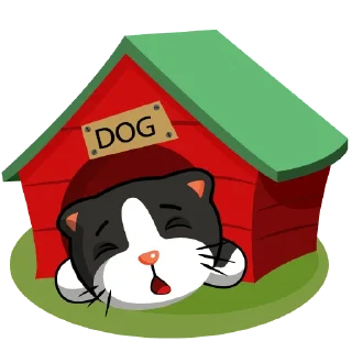 🐶