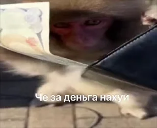 💸
