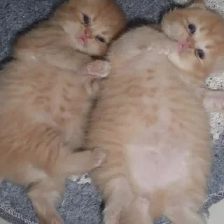 🥰