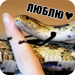 ❤️