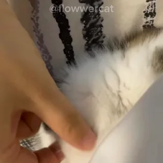 🤬
