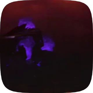 🌟