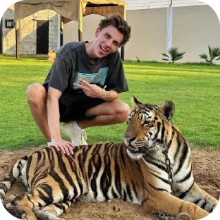 🐅