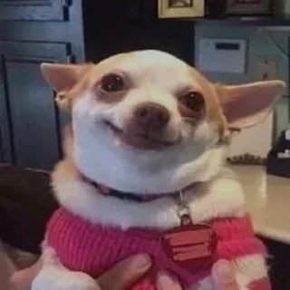 🐕