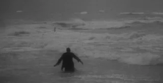 🌊