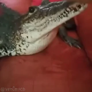🥰