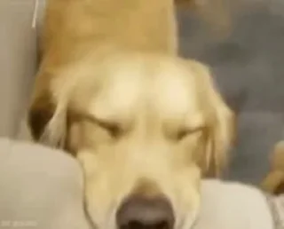 😊
