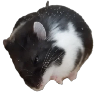 😀