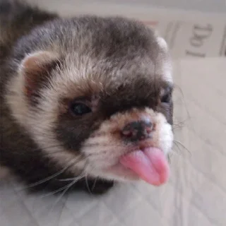 😜