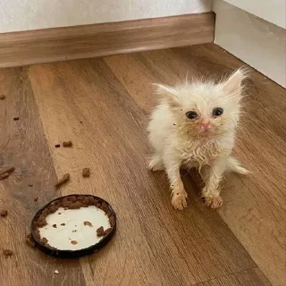 😭