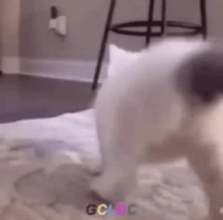 💃