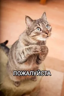🙏