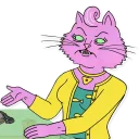 😾