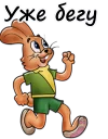 🐰