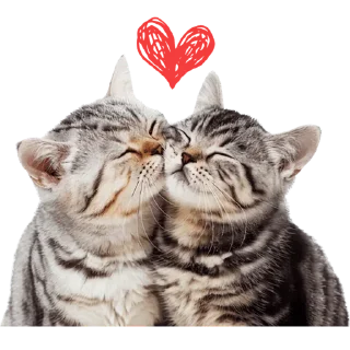 😘