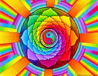☯️