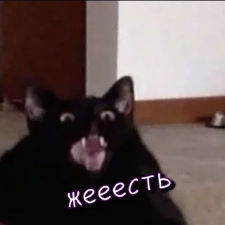 🦾