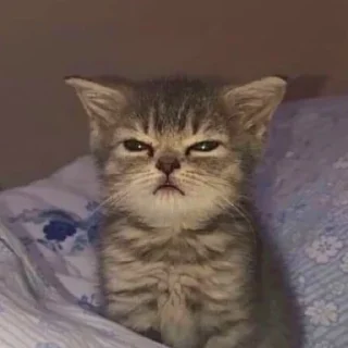 😴