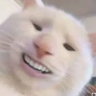 😄