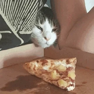 🍕