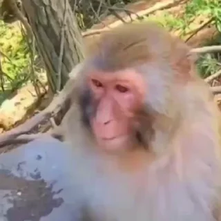 😅