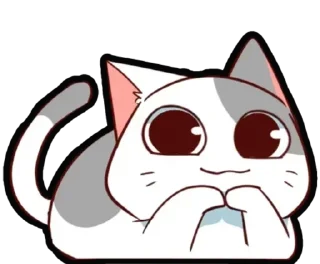 🐈