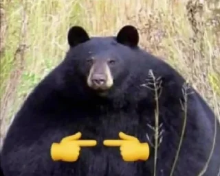 👉