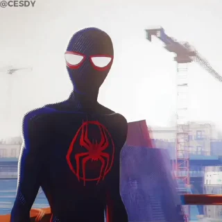 🤷‍♂️