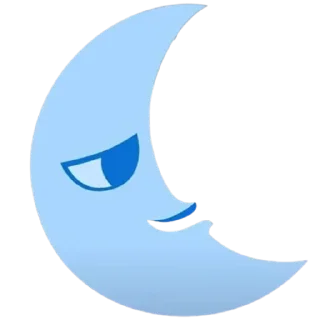 🌜