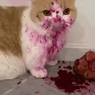 😋