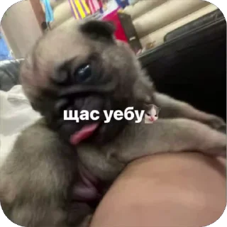 😝