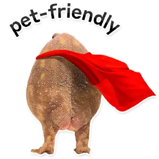 🦹