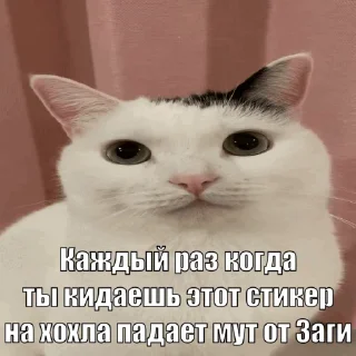 🤩