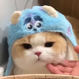 🤔