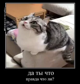 😯