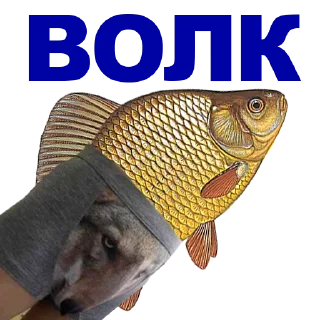 🐠