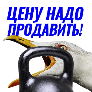 🏋‍♂️