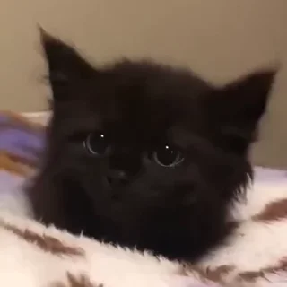 ☹