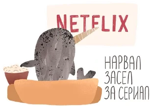 📺