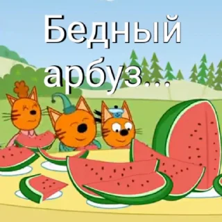 🍉