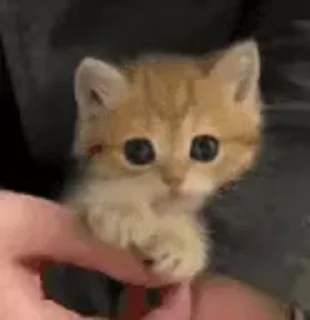 😊