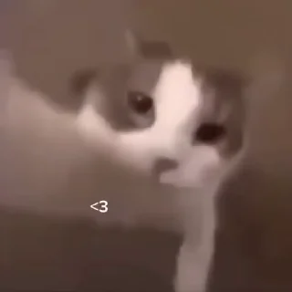 💋