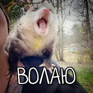 😂