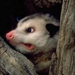 😬