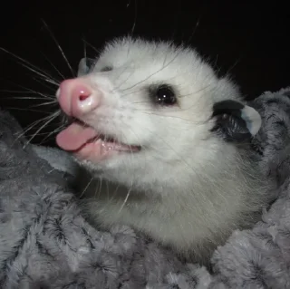 😝