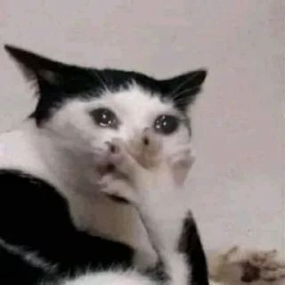 🥹