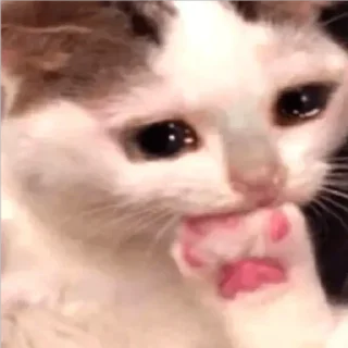 🥺