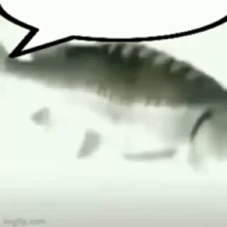 💬