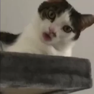 😏