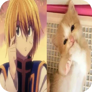 🐱